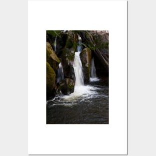 Taggerty Cascades #5 Posters and Art